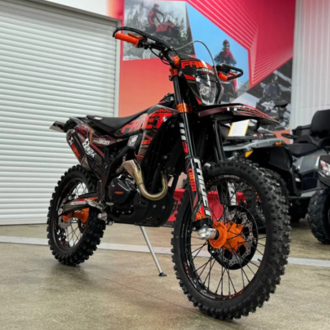 Кроссовый мотоцикл FAIDET PR300 MAX WP в Пскове