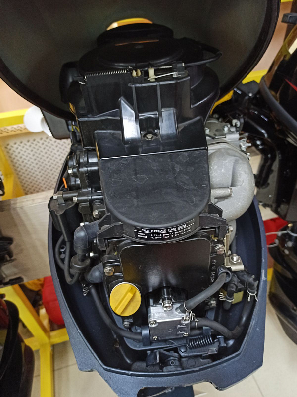 Лодочный мотор BREEZE F9,9S (4х тактный) в Пскове