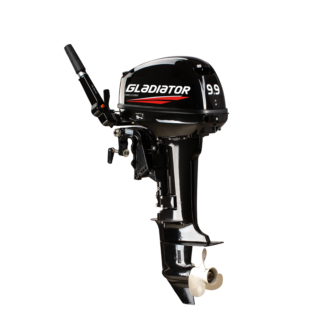 ЛОДОЧНЫЙ МОТОР GLADIATOR G9.9FHS в Пскове