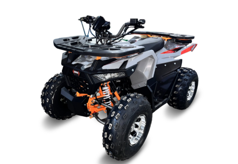 Квадроцикл GBM DAXTER 220 NEW PREMIUM в Пскове