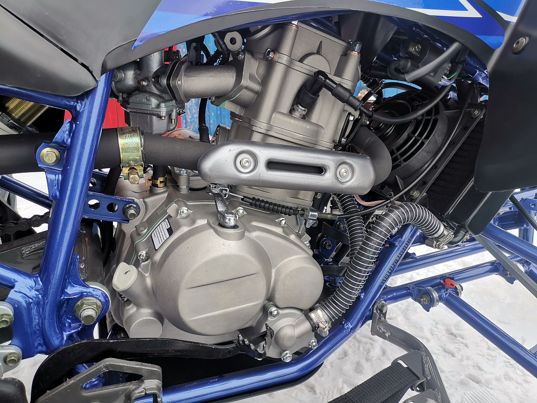 Квадроцикл PROMAX RAPTOR 300 NEW RedBull в Пскове