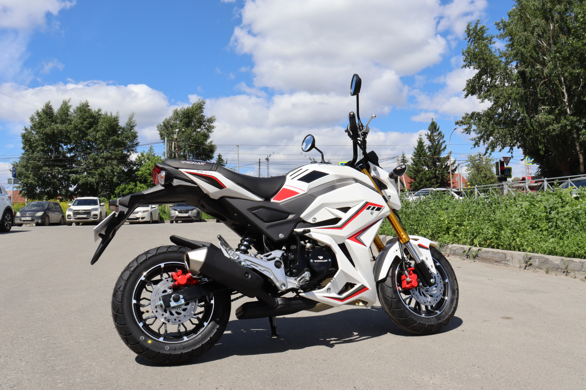 Мотоцикл PROMAX STRYKER 200(49) 2.0 в Пскове