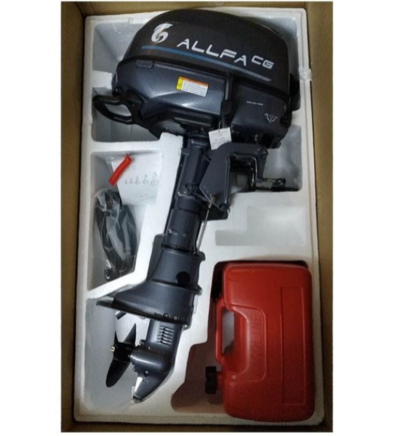 Лодочный мотор ALLFA CG F6 в Пскове