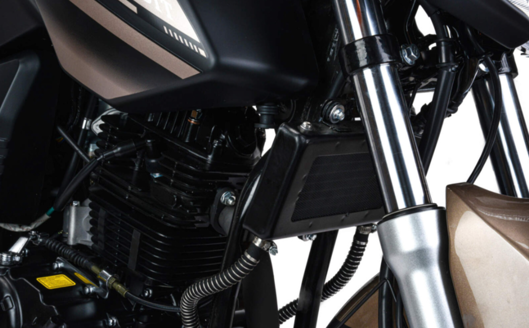 Мотоцикл MOTOLAND (МОТОЛЕНД) 300 BANDIT в Пскове