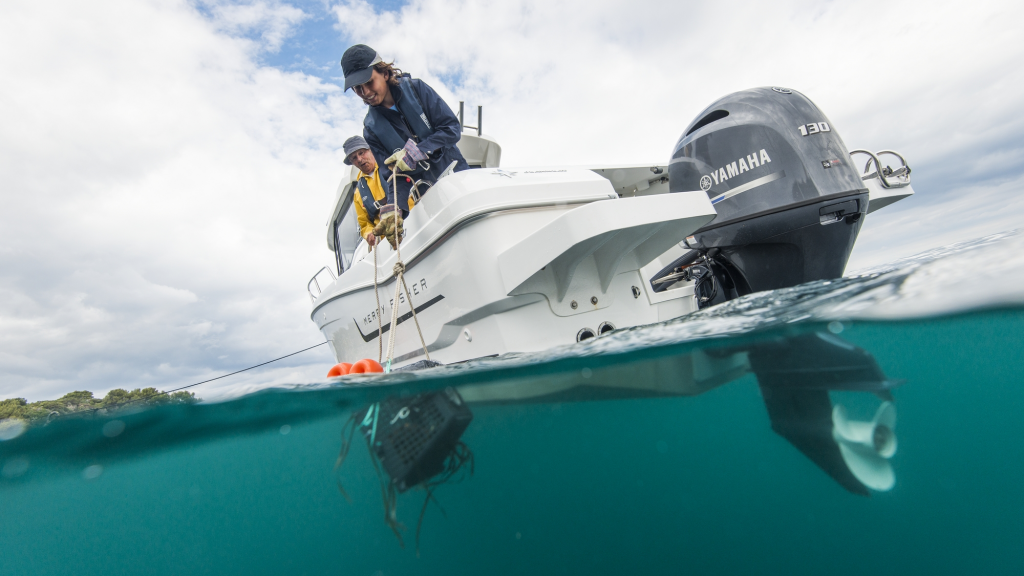 ЛОДОЧНЫЙ МОТОР YAMAHA F130 AETX в Пскове