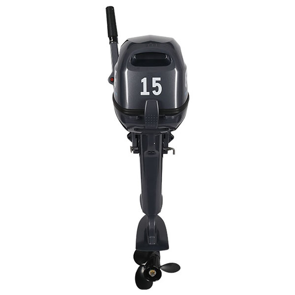 ЛОДОЧНЫЙ МОТОР ALLFA CG Т15 в Пскове