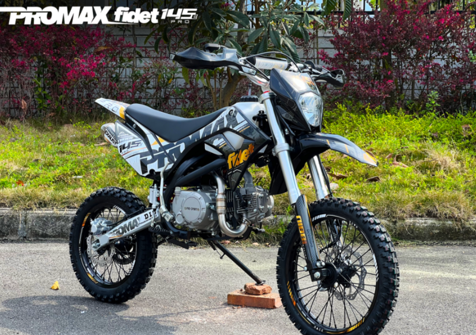 Мотоцикл (питбайк) PROMAX FIDET (ФАЙДЕТ) 145E PRO 17/14 в Пскове