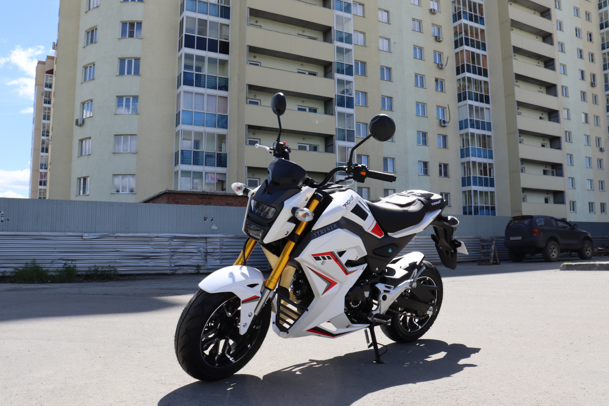 Мотоцикл PROMAX STRYKER 200(49) 2.0 в Пскове