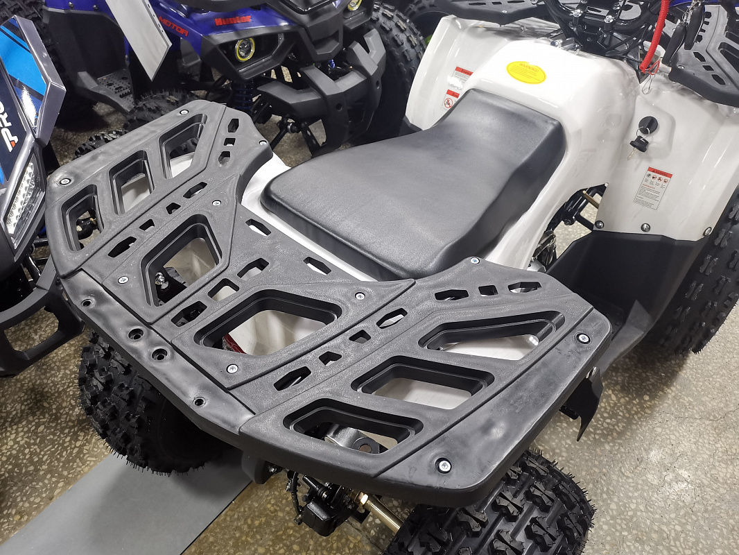 Квадроцикл PROMAX WILD 175 LUX в Пскове