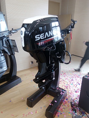 Лодочный мотор SEANOVO SN75FHL-D в Пскове