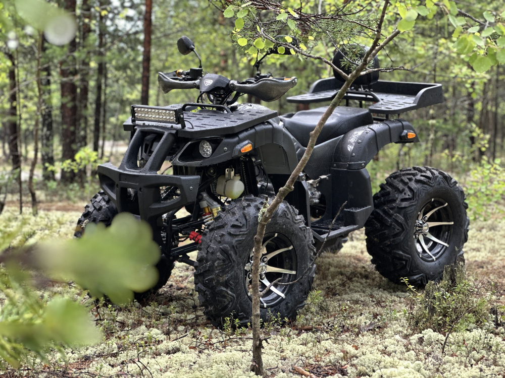 Квадроцикл PROMAX 320 DOMINATOR (2025) в Пскове