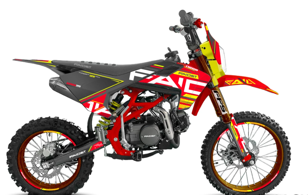 Питбайк FAIDET KAYOT 150E-PRO 17/14 в Пскове