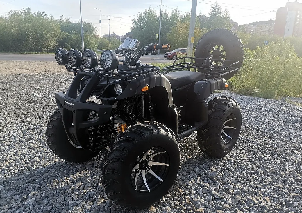 Квадроцикл PROMAX LEO 300 Max (кардан) в Пскове