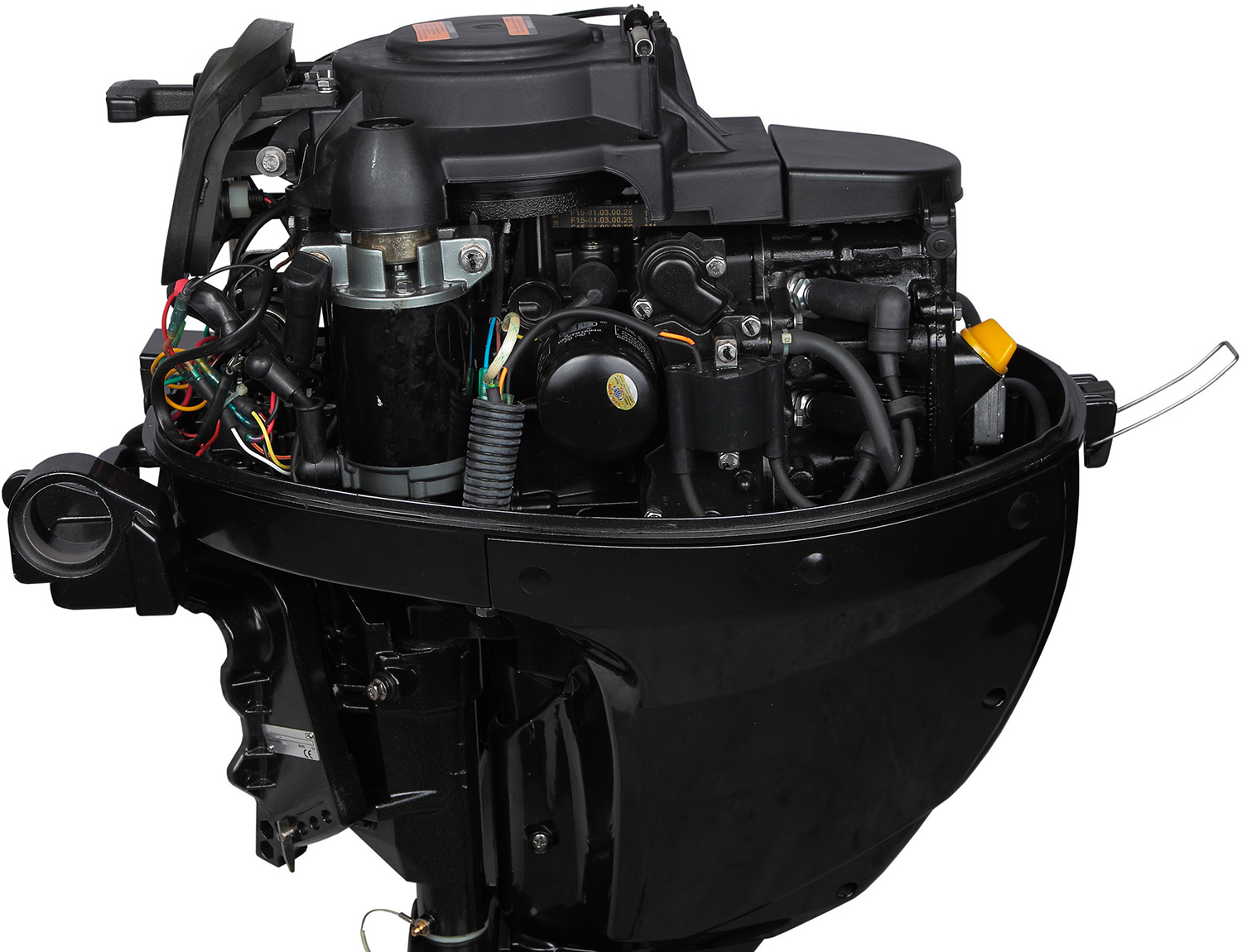 Лодочный мотор MARLIN MF 9.9 AMHL в Пскове