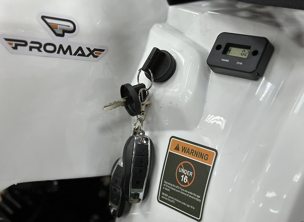 Квадроцикл PROMAX WILD 2.0 190 в Пскове