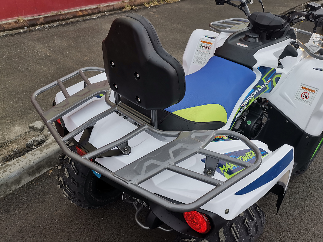 Квадроцикл PROMAX RENEGADE 280 LUX (2025) в Пскове