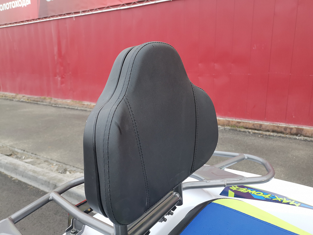 Квадроцикл PROMAX RENEGADE 280 LUX (2025) в Пскове