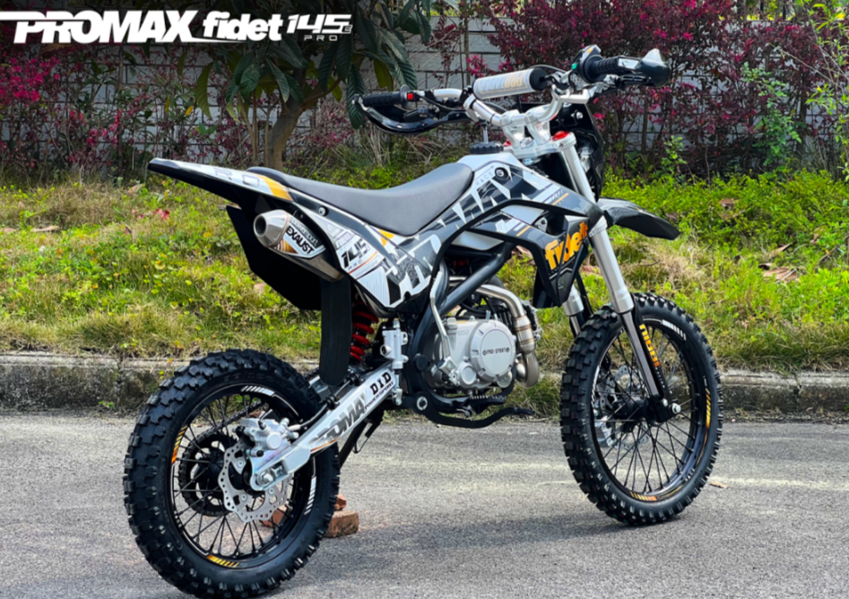 Мотоцикл (питбайк) PROMAX FIDET (ФАЙДЕТ) 145E PRO 17/14 в Пскове