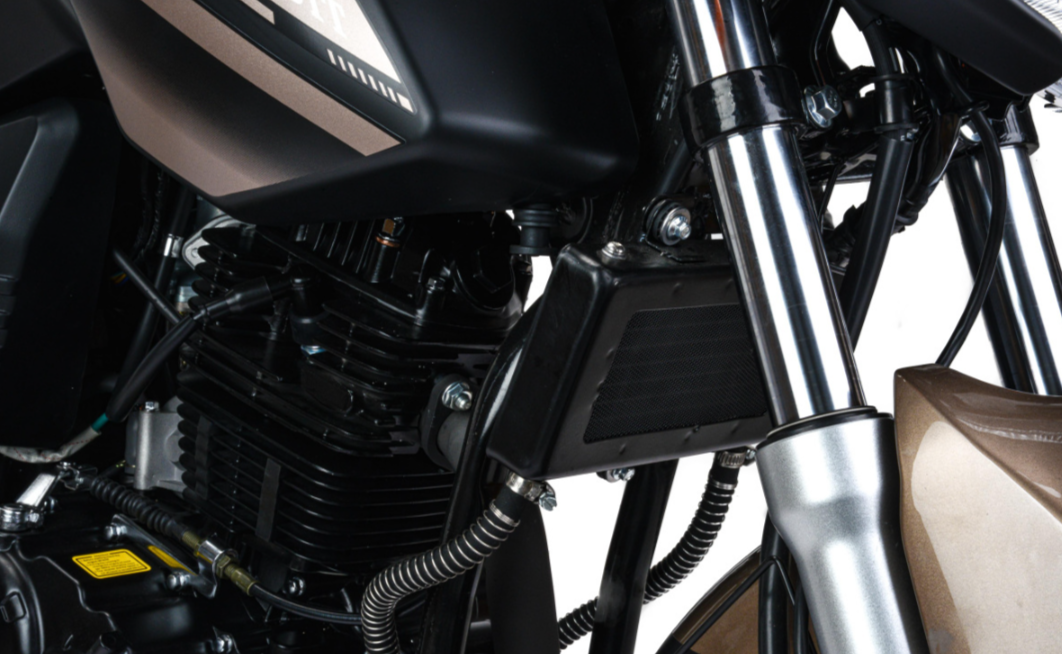 Мотоцикл MOTOLAND (МОТОЛЕНД) 300 BANDIT в Пскове