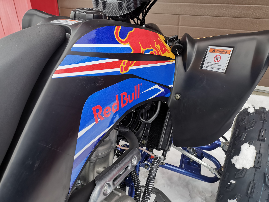 Квадроцикл PROMAX RAPTOR 300 NEW RedBull в Пскове