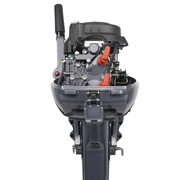 ЛОДОЧНЫЙ МОТОР ALLFA CG Т9,9 в Пскове