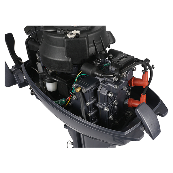 ЛОДОЧНЫЙ МОТОР ALLFA CG Т15 в Пскове