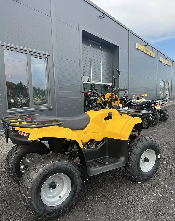 КВАДРОЦИКЛ IRBIS ATV 250  в Пскове