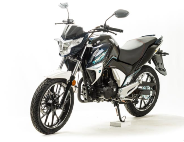 Мотоцикл MOTOLAND (МОТОЛЕНД) FIGHTER 250 в Пскове