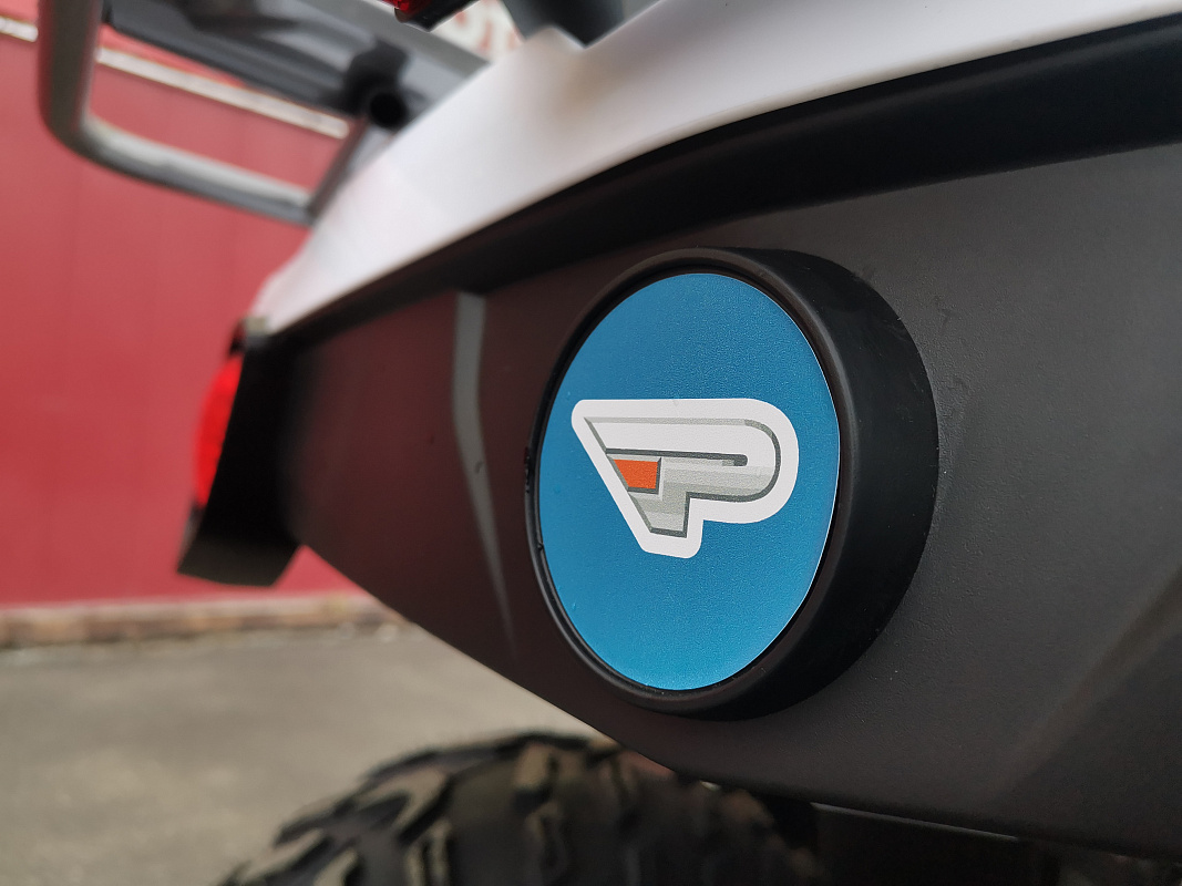 Квадроцикл PROMAX RENEGADE 280 LUX (2025) в Пскове