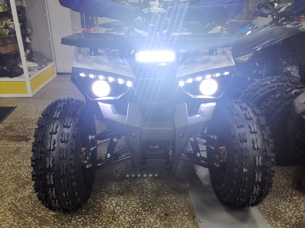 Квадроцикл PROMAX WILD 175 LUX в Пскове