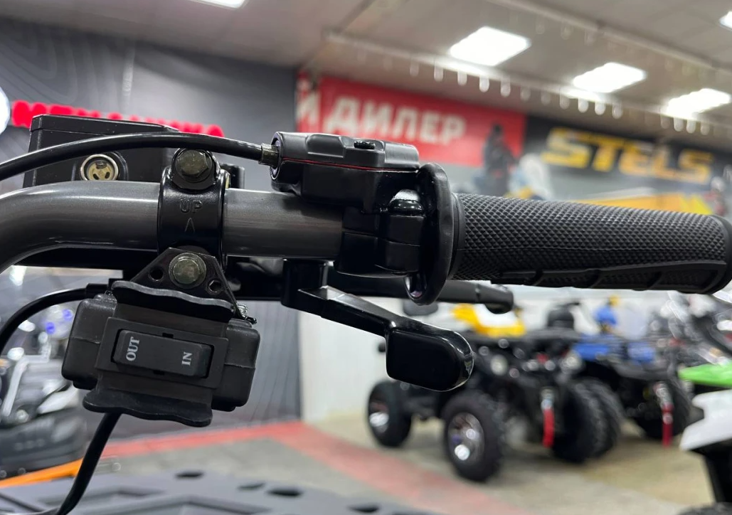 Квадроцикл PROMAX RENEGADE 300 LONG WINCH PRO (2025) в Пскове