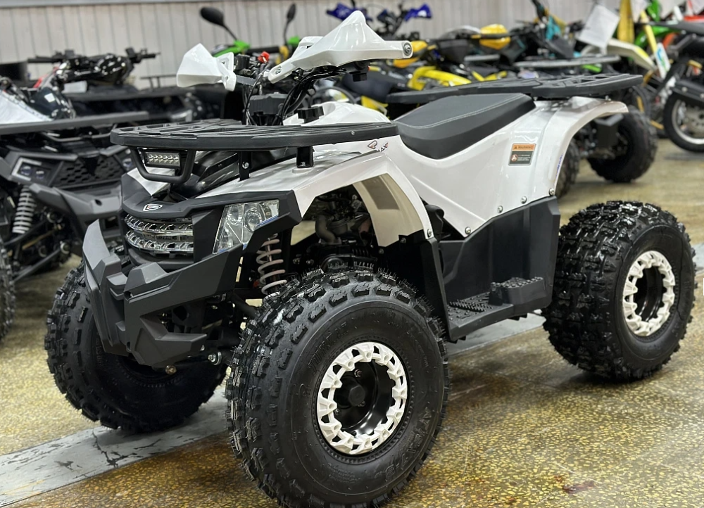 Квадроцикл PROMAX WILD 2.0 190 в Пскове