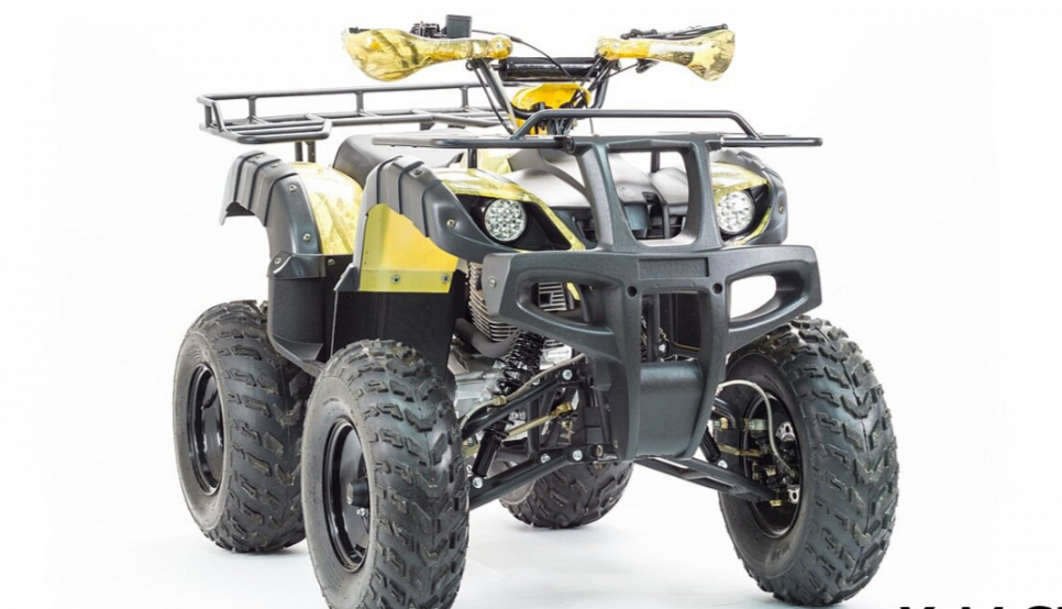 Квадроцикл MOTOLAND (МОТОЛЕНД) 250 ADVENTURE в Пскове