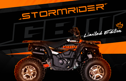 Квадроцикл GBM STORMRIDER 320 NEW LUX в Пскове