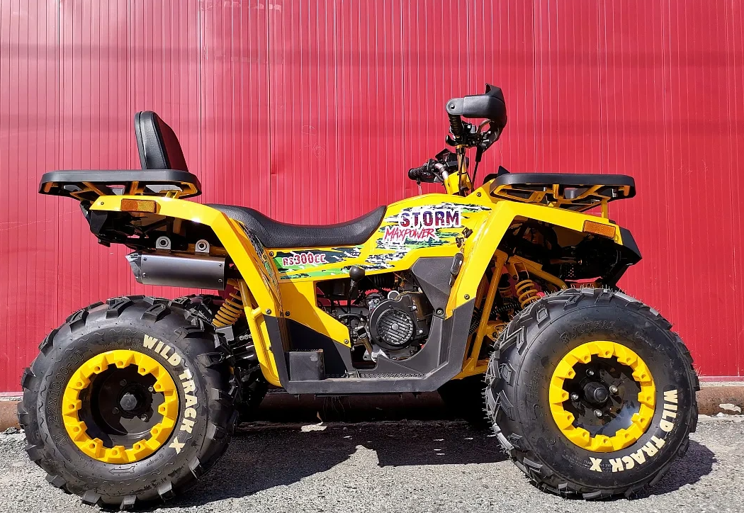 Квадроцикл PROMAX STORM 280 LUX в Пскове