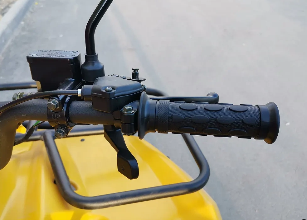 КВАДРОЦИКЛ IRBIS ATV200 в Пскове