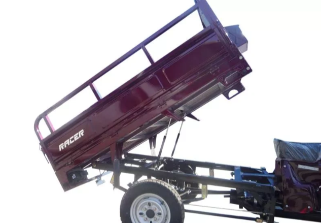 Трицикл RACER RC200ZH MURAVEI в Пскове