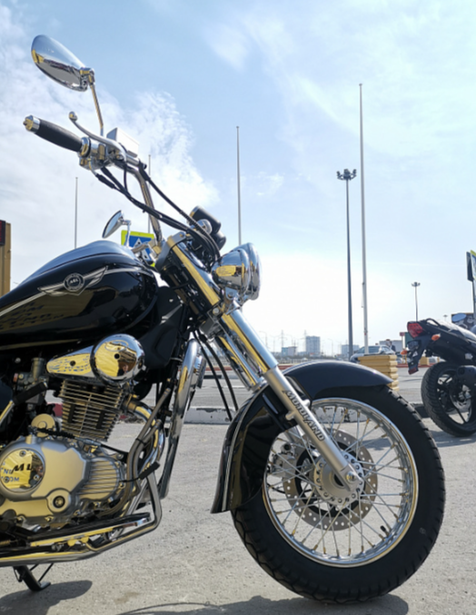 Мотоцикл MOTOLAND (МОТОЛЕНД) WOLF 250 в Пскове