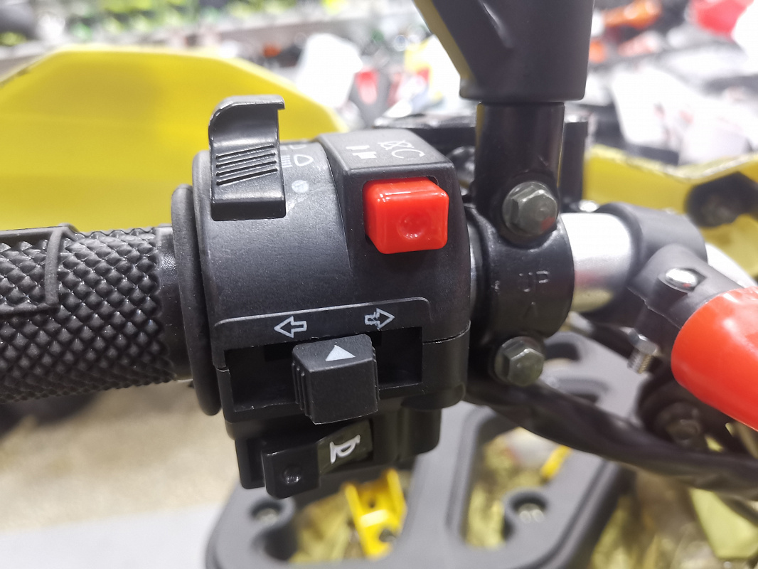 Квадроцикл PROMAX STORM 190 PRO в Пскове