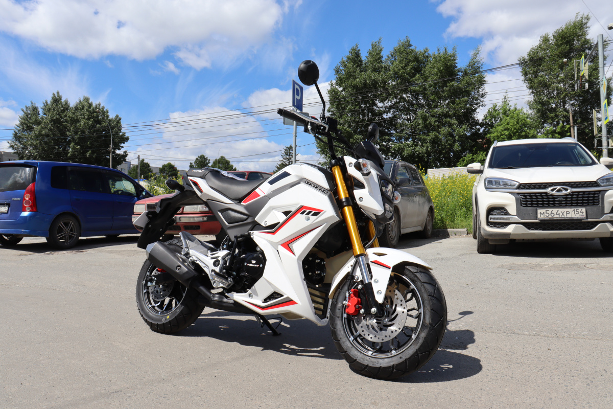 Мотоцикл PROMAX STRYKER 200(49) 2.0 в Пскове