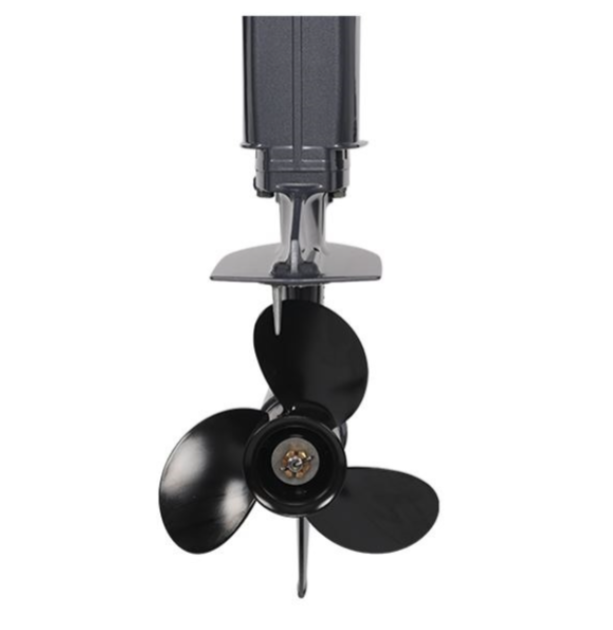 Лодочный мотор ALLFA CG Т40FWT S в Пскове