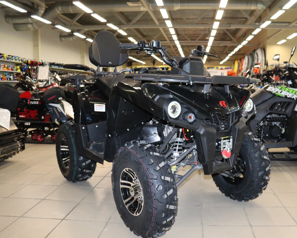Квадроцикл PROMAX RENEGADE 300 LONG WINCH PRO (2025) в Пскове