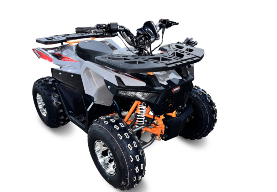 Квадроцикл GBM DAXTER 220 NEW PREMIUM в Пскове