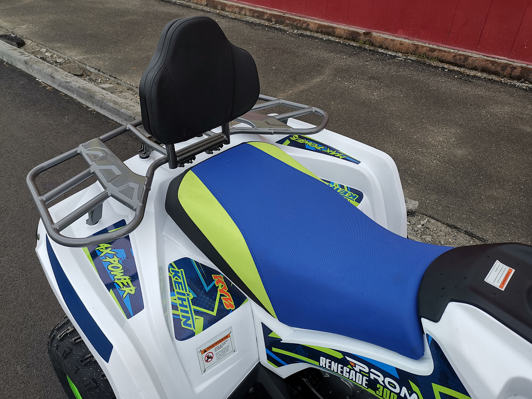 Квадроцикл PROMAX RENEGADE 280 LUX (2025) в Пскове