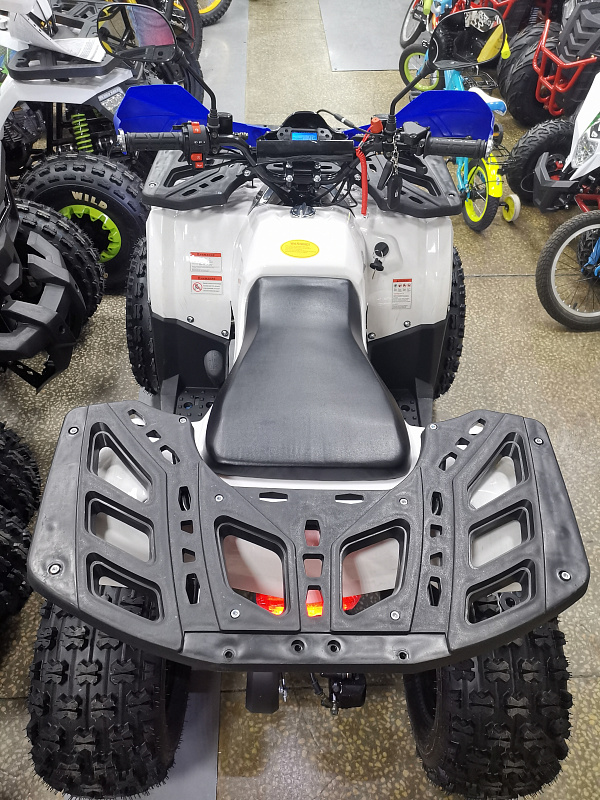 Квадроцикл PROMAX WILD 175 LUX в Пскове
