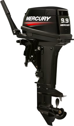 ЛОДОЧНЫЙ МОТОР MERCURY 9.9 MH TMC 247 CC в Пскове