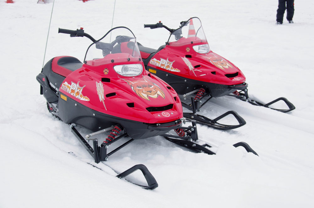 Снегоход РМ ТАЙГА РЫСЬ в Пскове