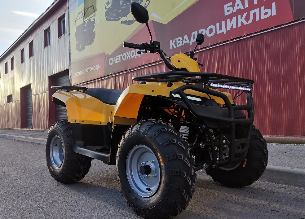 КВАДРОЦИКЛ IRBIS ATV200 в Пскове