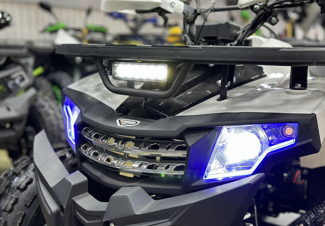 Квадроцикл PROMAX WILD 2.0 190 в Пскове