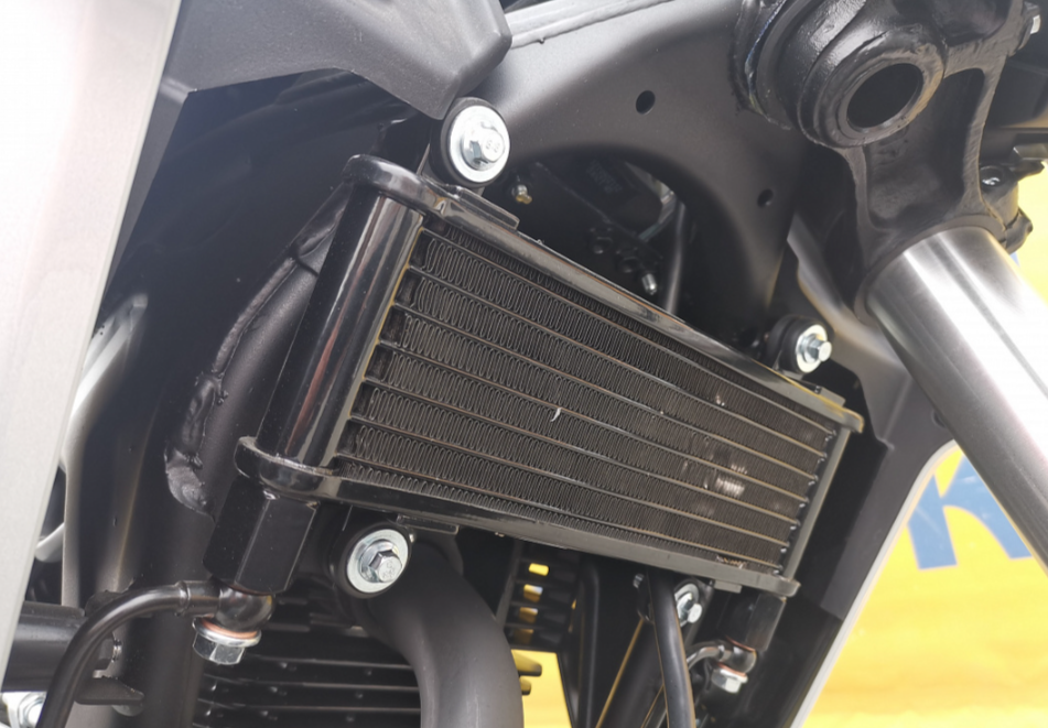 Мотоцикл MOTOLAND (МОТОЛЕНД) 250 CB250 (172FMM-5/PR250) (2022 г.) в Пскове